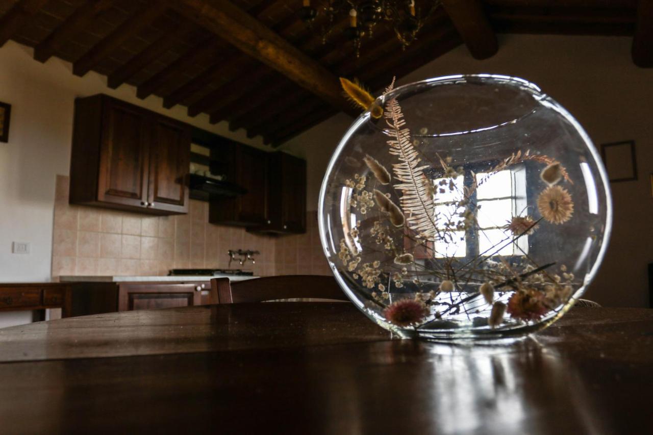 Agriturismo Bombina Montisi المظهر الخارجي الصورة