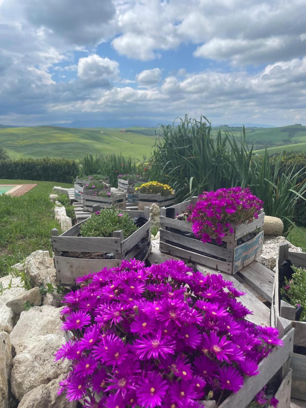 فيلا Agriturismo Bombina Montisi المظهر الخارجي الصورة